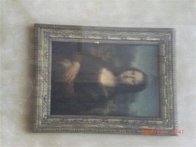 mona lisa I took